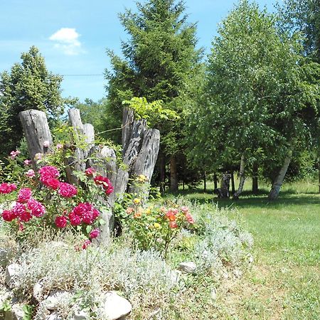 Galesic Apartments & Rooms Korenica Dış mekan fotoğraf